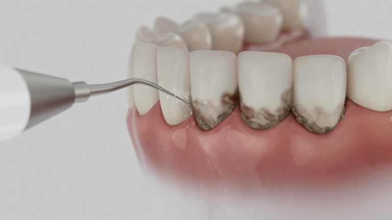 Reliable Dental contractor in Russellville, AR by Dentist Open Now